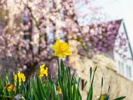 MitMachBeet im Stadtpark
